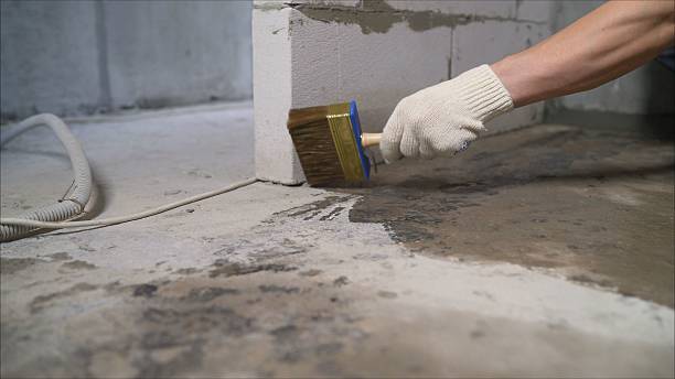 SJ Waterproofing Pros Waterproofing coverage map for Coal City, IN and surrounding area